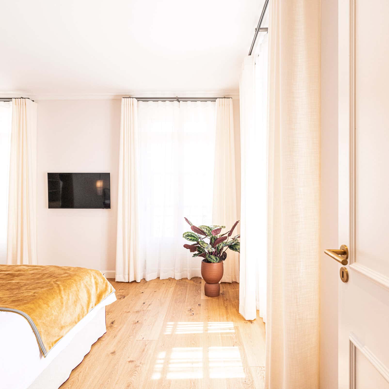 TV et plante dans suite avec lit jaune à l'Hôtel Le Mosaïque, Narbonne.